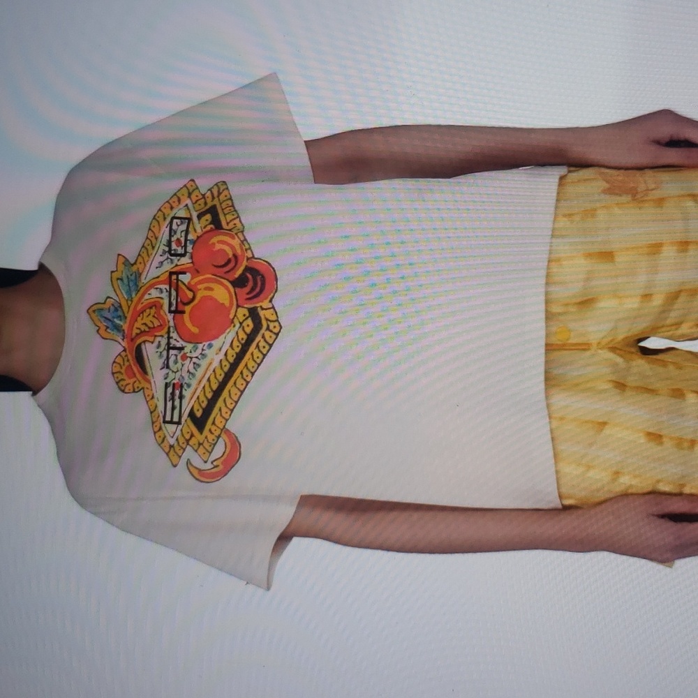 Etro T-Shirt! EUC!